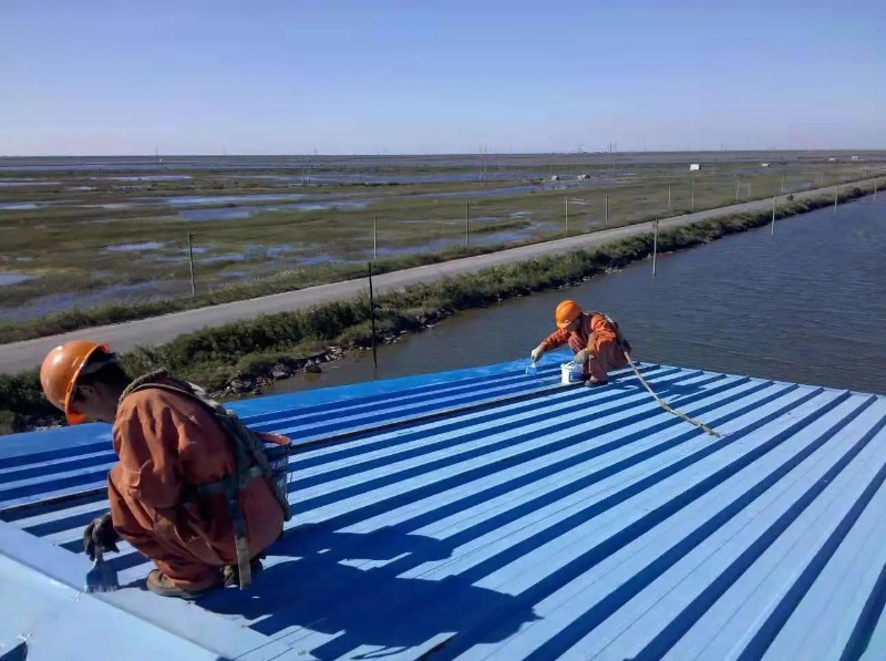 古田钢结构屋面漏水原因